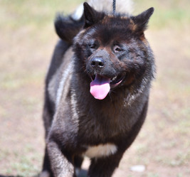 Similar image 21000216