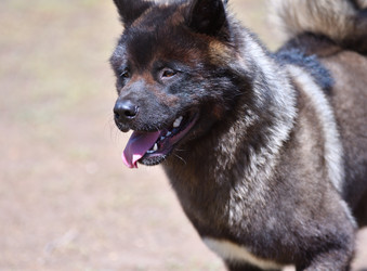 Similar image 21000217