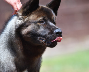 Similar image 21000218