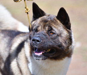 Similar image 21000219