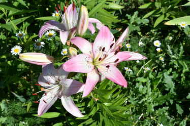 Similar image 21000220