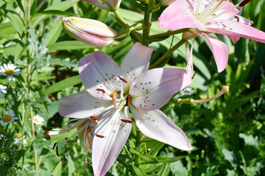 Similar image 21000221