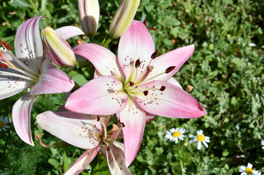 Similar image 21000222