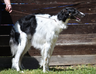 Similar image 20997280