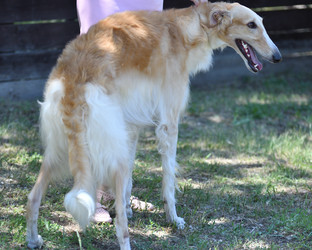 Similar image 20997281