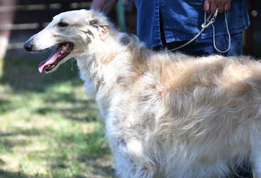 Similar image 20997284