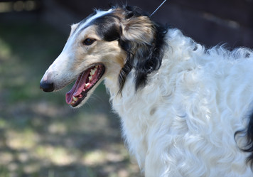 Similar image 20997286