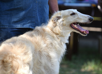 Similar image 20997287