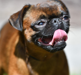 Similar image 21000225