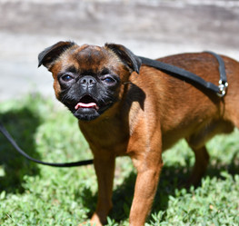 Similar image 21000497