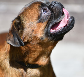 Similar image 21000498