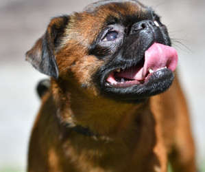 Similar image 21000499