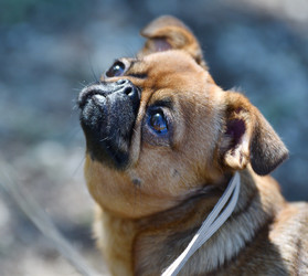 Similar image 21000502