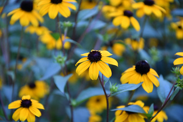 Similar image 21000226