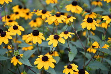 Similar image 21000229