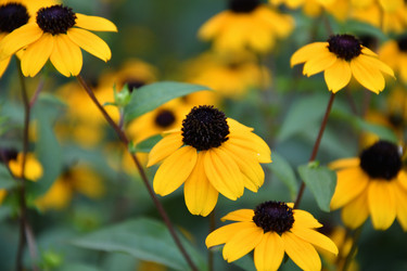 Similar image 21000230