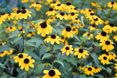 Similar image 21000231