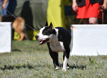 Similar image 21000232