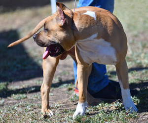 Similar image 21000233