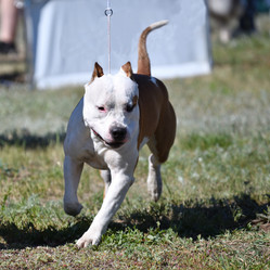 Similar image 21000237