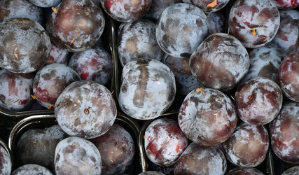 Similar image 21000241