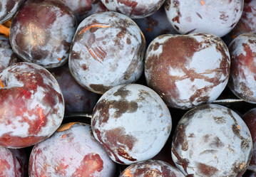 Similar image 21000243