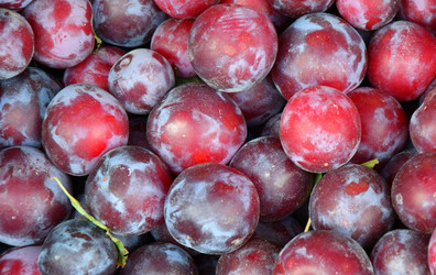 Similar image 21000244