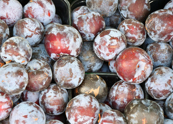 Similar image 21000245