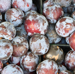 Similar image 21000246