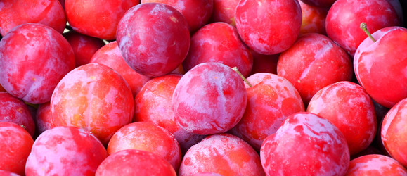 Similar image 21000247