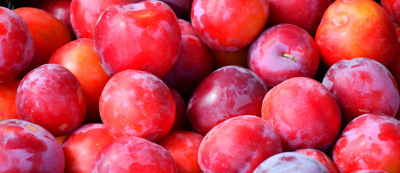 Similar image 21000248