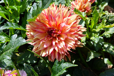 Similar image 20997291