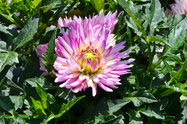 Similar image 20997292