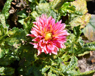 Similar image 20997293