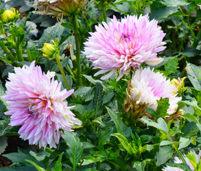 Similar image 20997295