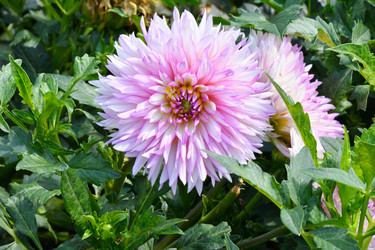 Similar image 20997296