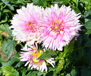 Similar image 20997300