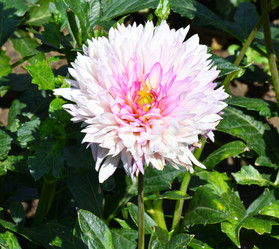 Similar image 20997301