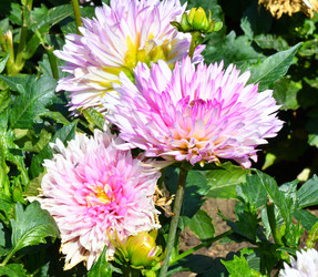 Similar image 20997302