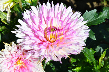 Similar image 20997303