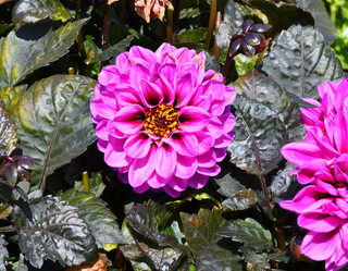 Similar image 20997304