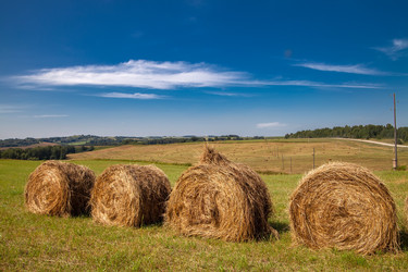 Similar image 21009015