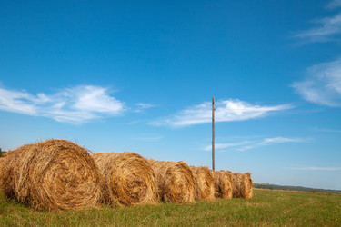 Similar image 20989827