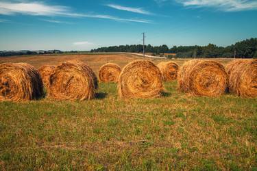 Similar image 20989830