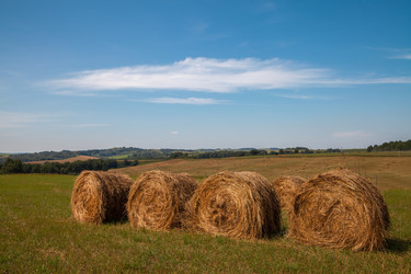 Similar image 20989831