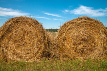 Similar image 20989833