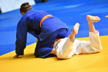 Similar image 21000508