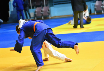 Similar image 21000509