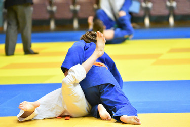 Similar image 21000511