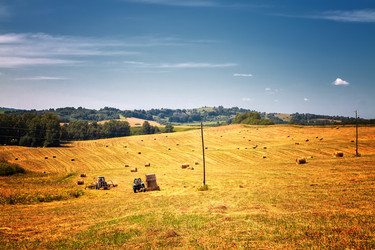 Similar image 20989618